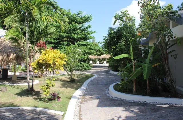Afreeka Beach Hostel Las Terrenas jardin tropical