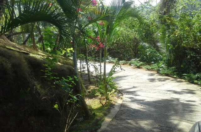 Villa Cocoloba Las Terrenas Jardin