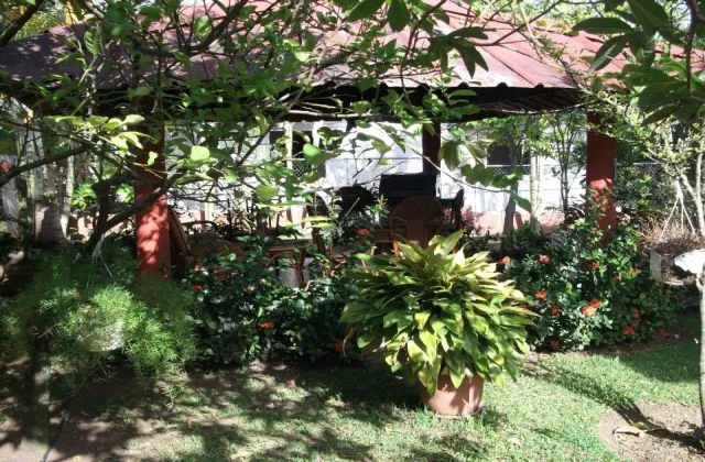 Guest House Jarabacoa Republica Dominicana jardin