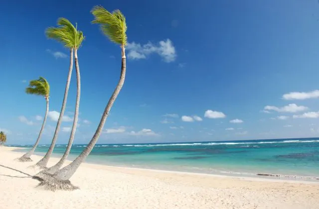 Sirenis Punta Cana Resort playa de suenos