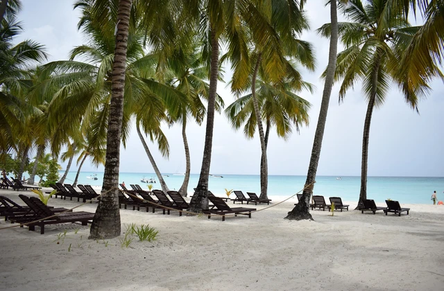Hotel Tropical Punta Cana Playa
