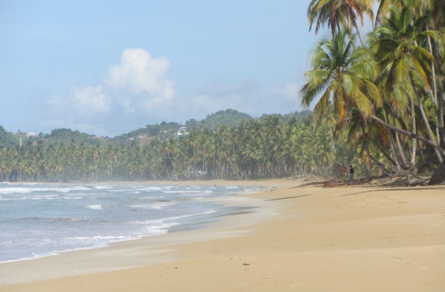 Playa Coson Las Terrenas Samana Republica Dominicana