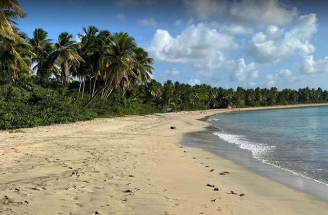 Playa Costa Esmeralda Miches El Seibo