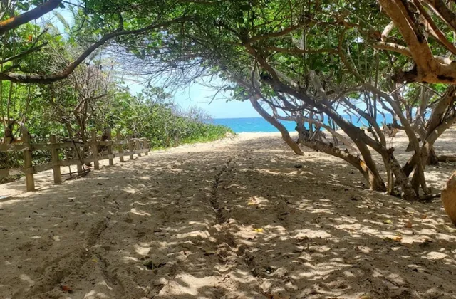 Playa Guzmancito Puerto Plata Republica Dominicana