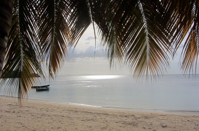 Playa Las Ballenas Republica Dominicana