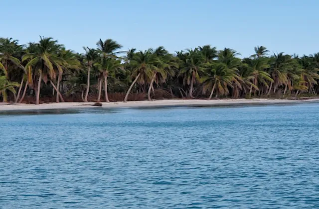Playa Palmilla Bayahibe