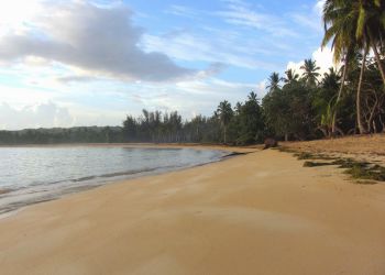 Punta Popy Republica Dominicana
