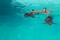 Delfines Punta Cana