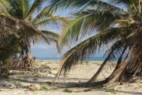 Hoteles en Cabeza de Toro Punta Cana