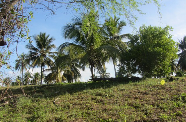 Bayahibe Republica Dominicana 5