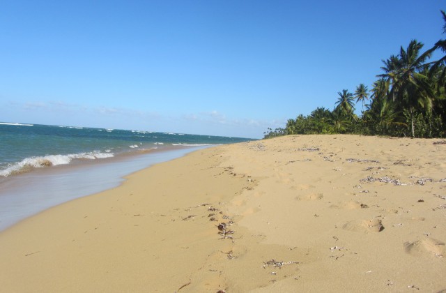 PLaya El Portillo