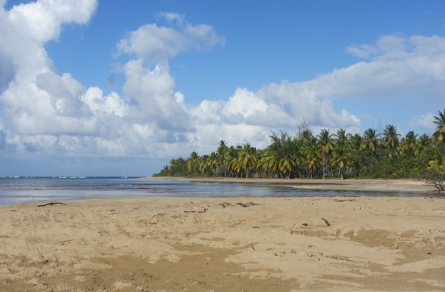 Playa Aleman Estillero