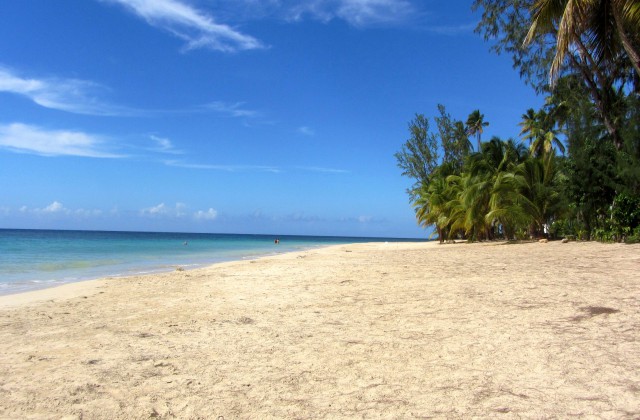 Playa Las Ballenas Las Terrenas 1