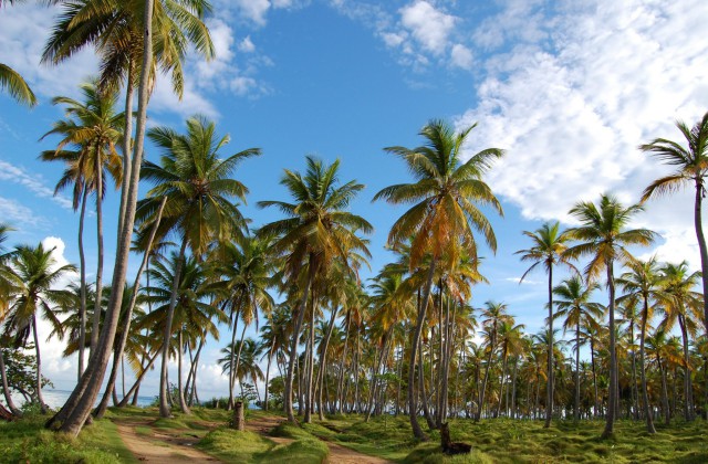 Las Galeras Samana Republica Dominicana 1