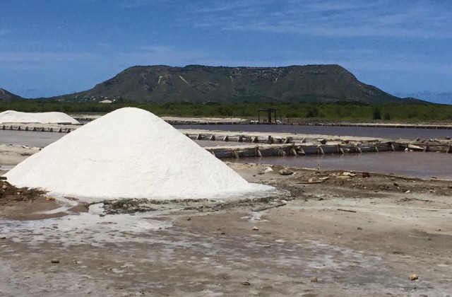 Salinas Montecristi 1