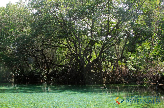 Pedernales arroyo salado