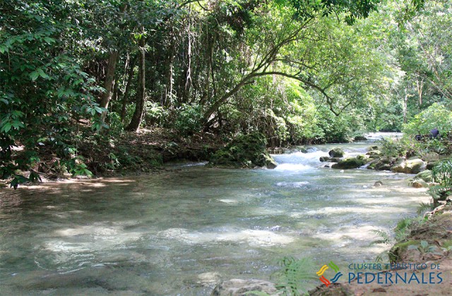 Pedernales rio el mulito 2