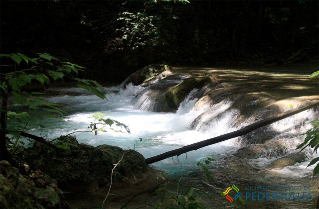 Pedernales rio el mulito 4