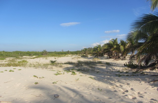 playa arena gorda punta cana 2