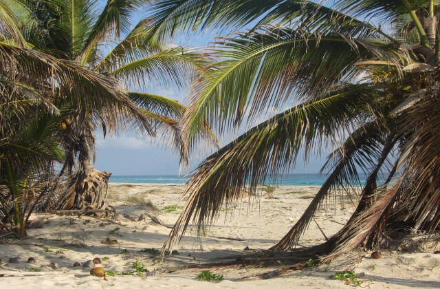 playa arena gorda punta cana 4