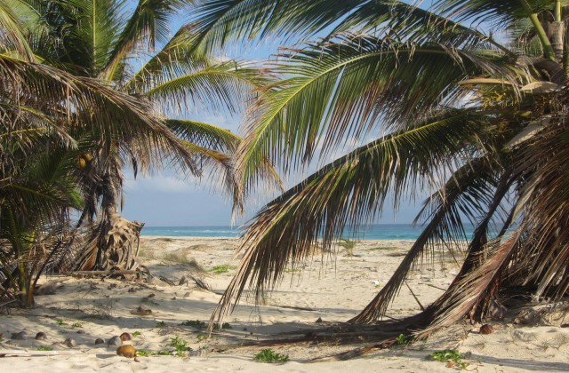 playa arena gorda punta cana