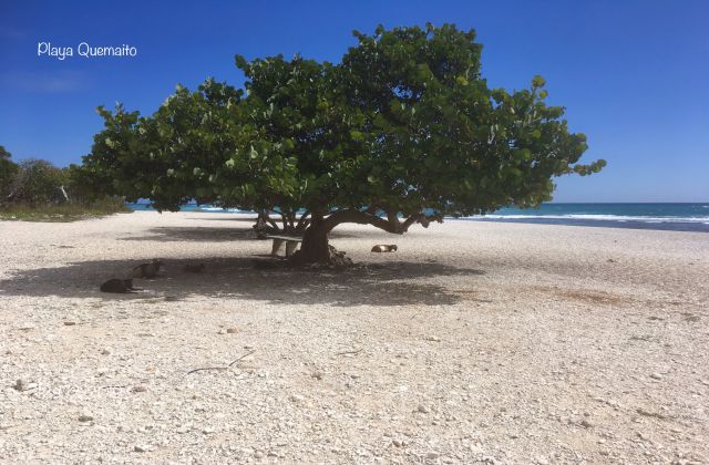 Playa Quemaito Barahona