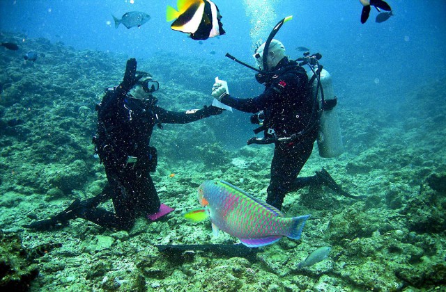 Buceo Boca Chica Republica Dominicana