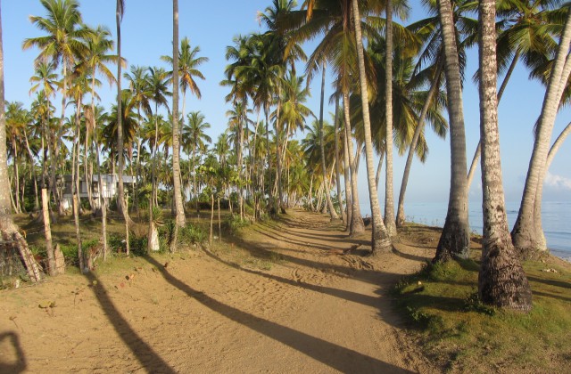 Playa Bonita Las Terrenas 2