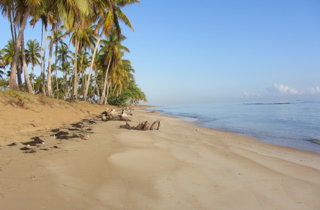 Playa Bonita Las Terrenas 3