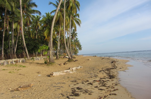 Playa Bonita Las Terrenas 4