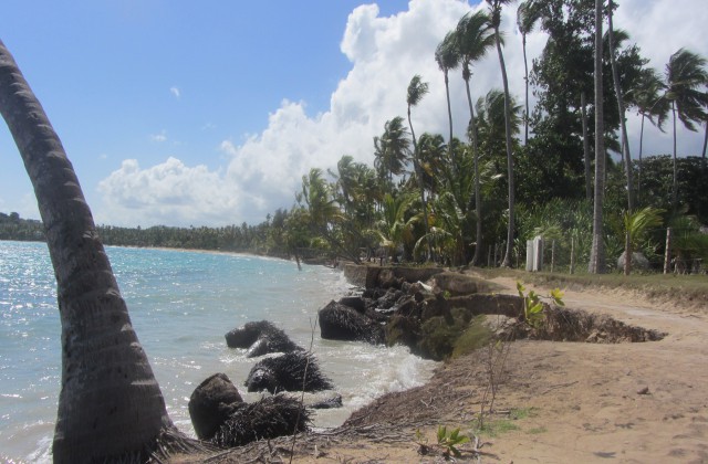 Playa Bonita Las Terrenas Samana 1