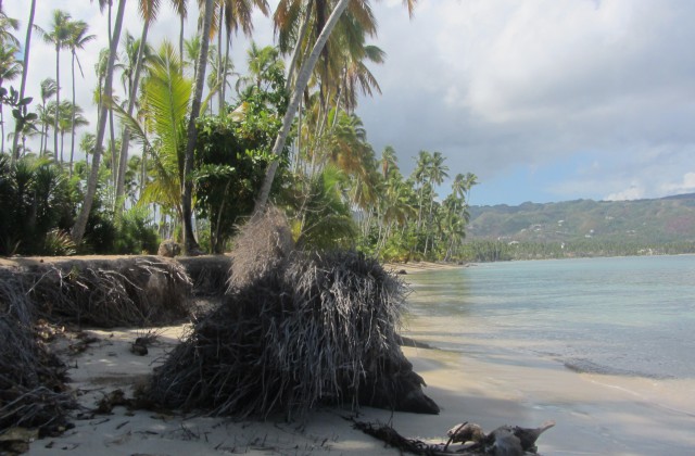 Playa Bonita Las Terrenas Samana 2