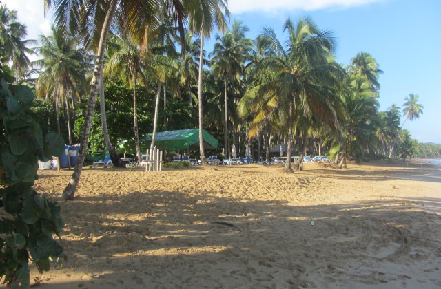 Playa Coson Las Terrenas Restaurante Luis