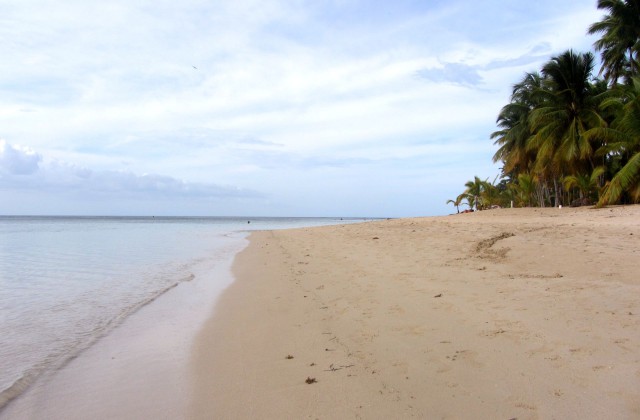 Playa Las Ballenas Las Terrenas 2