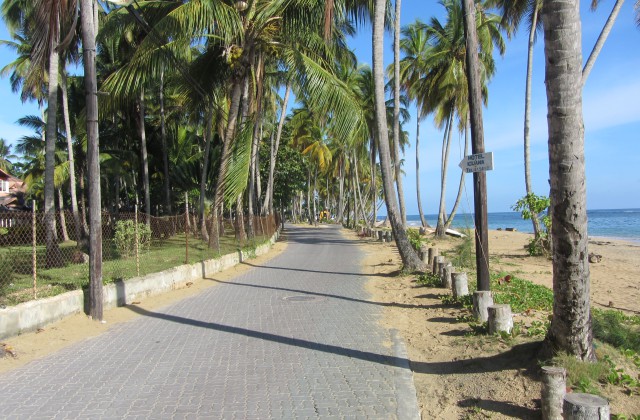 Playa Las Ballenas Las Terrenas 3