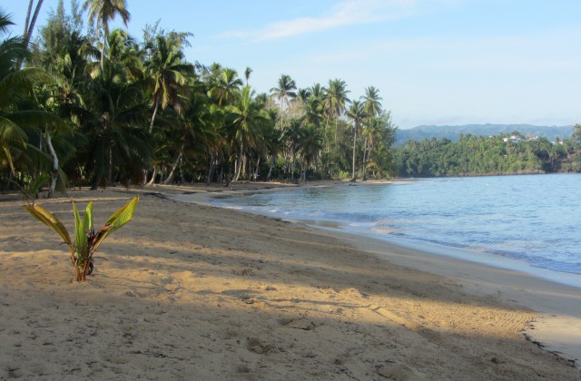 Playa Las Ballenas Las Terrenas Samana 1