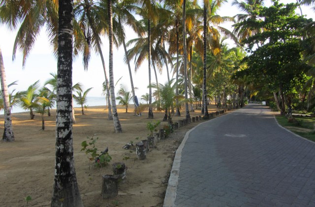 Playa Las Ballenas Las Terrenas Samana 2