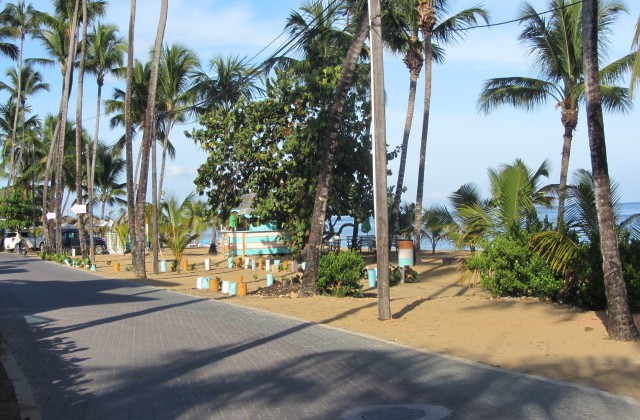 Playa Las Ballenas Las Terrenas Samana 3