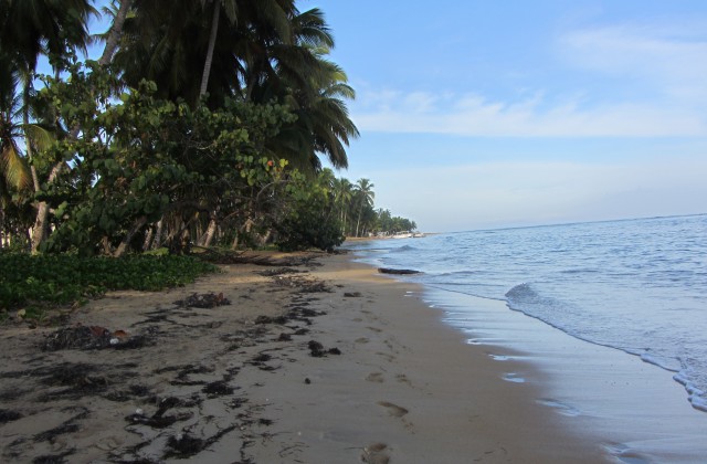 Playa Las Ballenas Las Terrenas