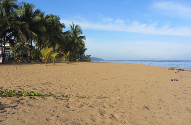 Playa Las Ballenas