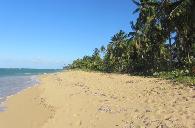 Playa El Portillo Republica Dominicana