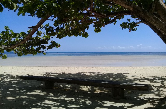 Playa Las Terrenas Samana Republica Dominicana