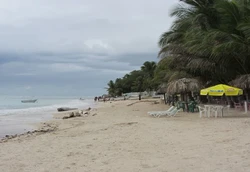 Playa guayacanes
