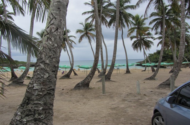 playa caribe republica dominicana