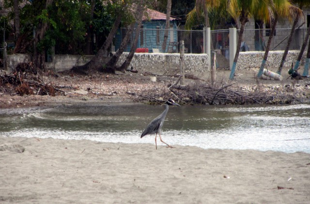 Playa Palenque 1
