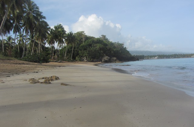 playa perdida las terrenas