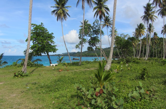 Playa Rincon Las Galeras Samana Republica Dominicana