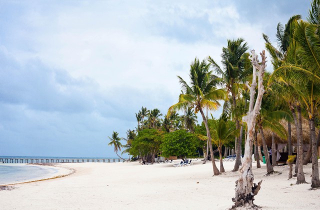 Playa Punta Cana Bavaro 2