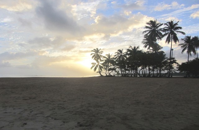 Playa Punta Popy Las Terrenas Samana