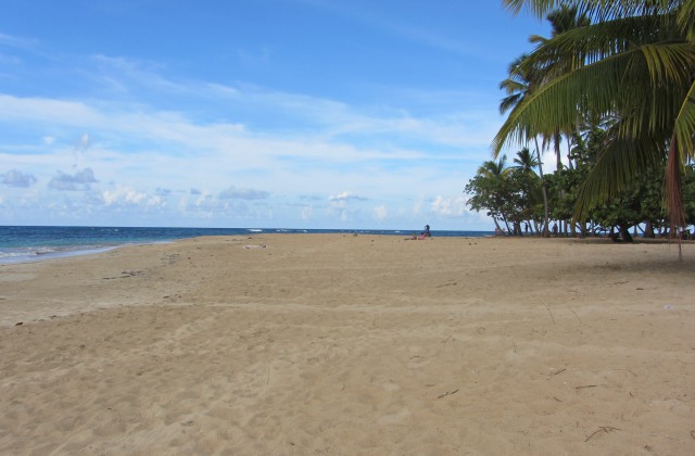 Punta Popy Las Terrenas Republica Dominicana